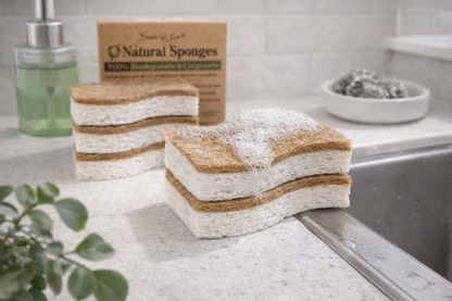 Éponges biodégradables Graham & Ash Co (lot de 6) - Éponges de cuisine naturelles pour vaisselle - Éponges écologiques naturelles pour la cuisine (6)