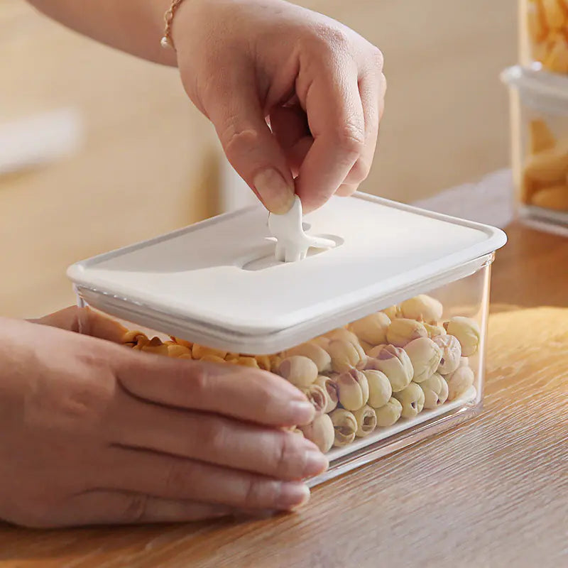 Boîte de rangement alimentaire en plastique pour fruits et raviolis